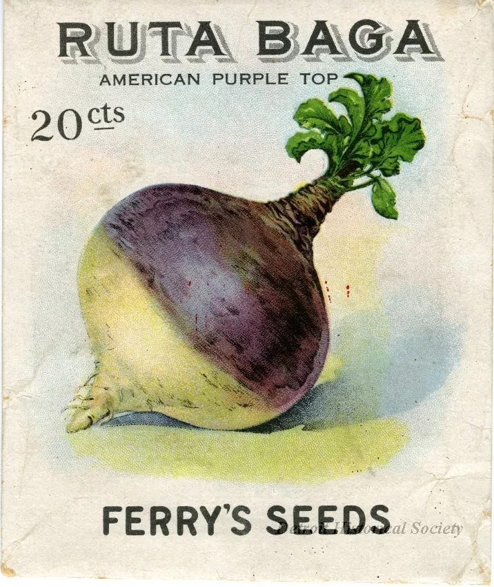 Packet, Seed