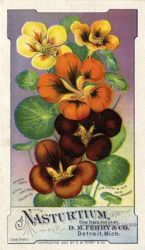Card, Trade