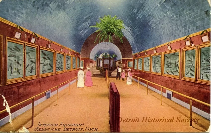 Postcard - Interior Aquarium, Belle Isle, Detroit, Mich.