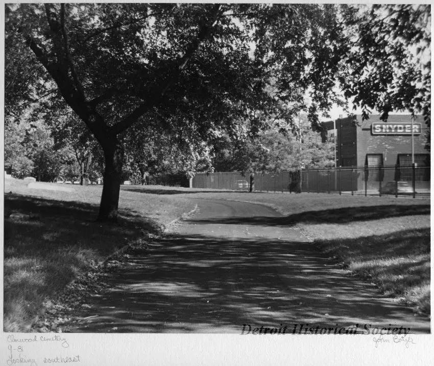 Print, Photographic - Elmwood Cemetery, looking southeast