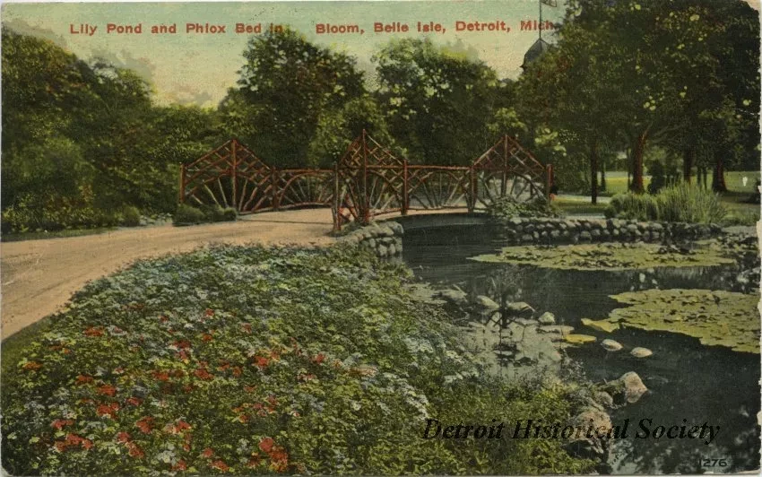 Postcard - Lily Pond and Phlox Bed in Bloom, Belle Isle, Detroit, Mich.