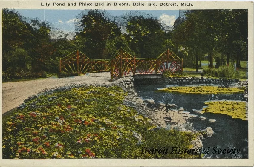 Postcard - Lily Pond and Phlox Bed in Bloom, Belle Isle, Detroit, Mich.