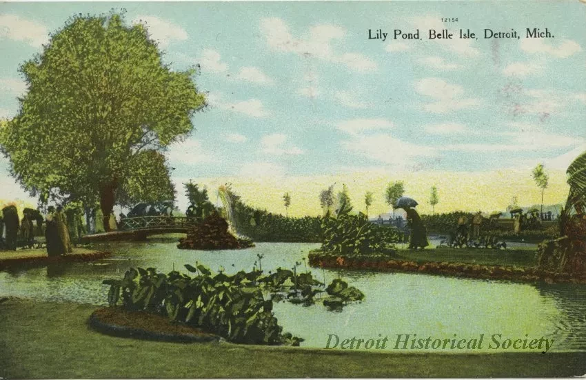 Postcard - Lily Pond, Belle Isle, Detroit, Mich.