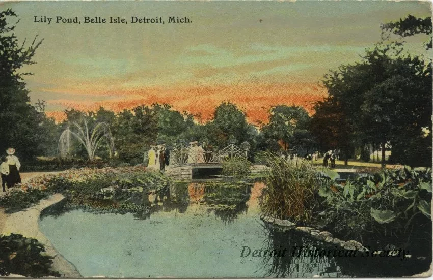 Postcard - Lily Pond, Belle Isle, Detroit, Mich.