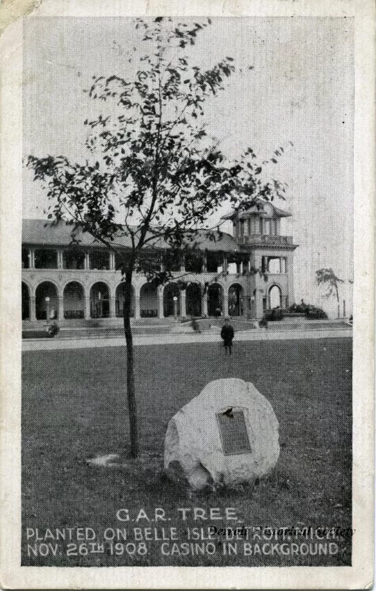 Postcard - G.A.R. Tree. Planted on Belle Isle, Detroit, Mich. Nov. 26th 1908. Casino in Background.