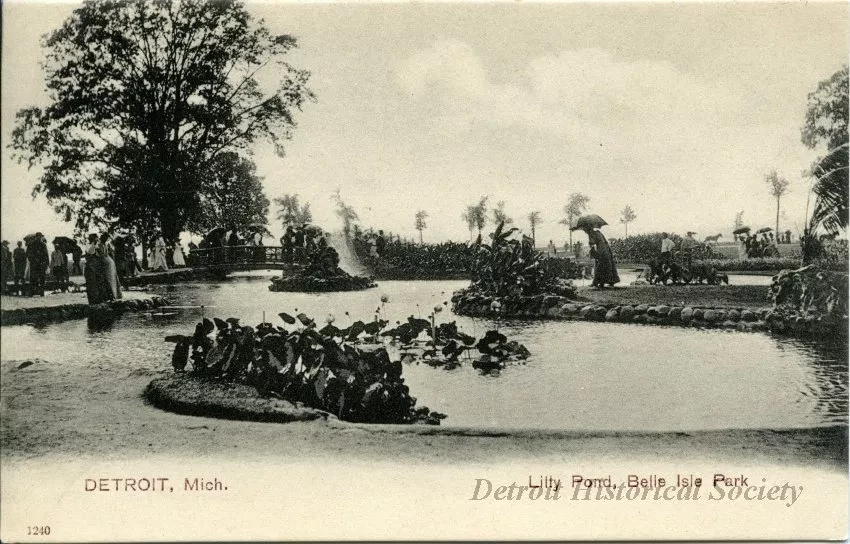Postcard - Detroit, Mich. Lily Pond, Belle Isle Park