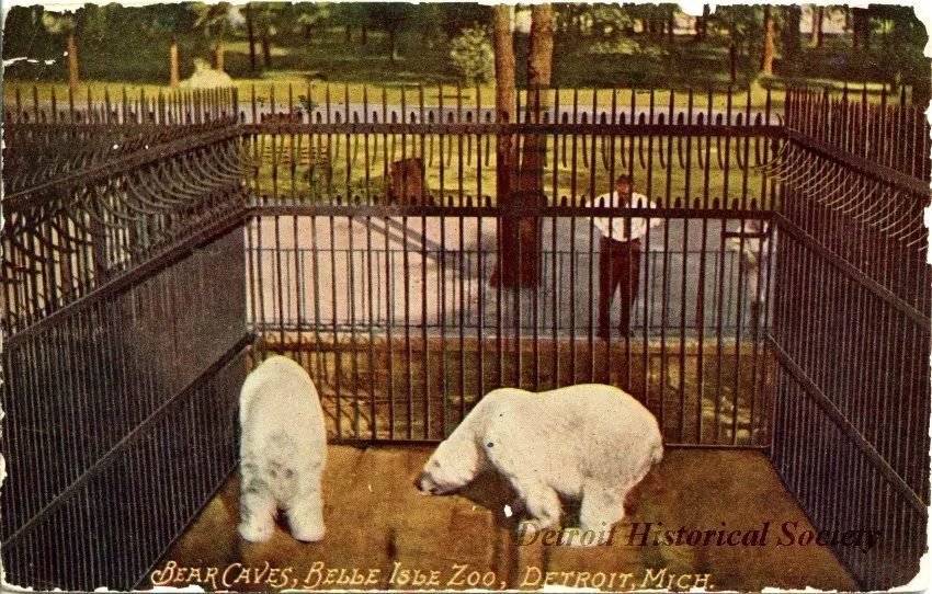 Postcard - Bear Caves, Belle Isle Zoo, Detroit, Mich.