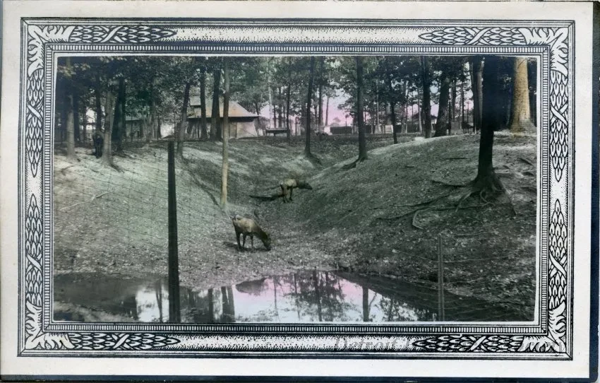 Postcard