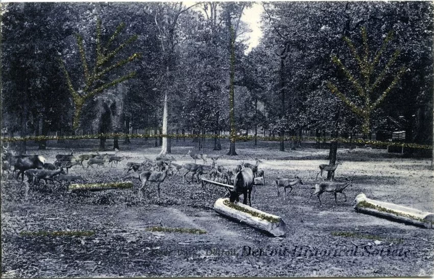 Postcard - Deer Park, Detroit, Mich.
