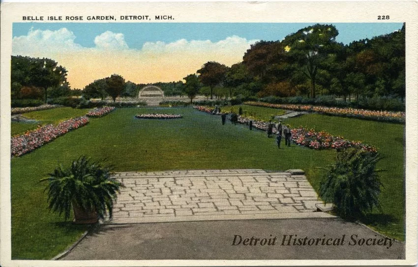 Postcard - Belle Isle Rose Garden, Detroit, Mich.