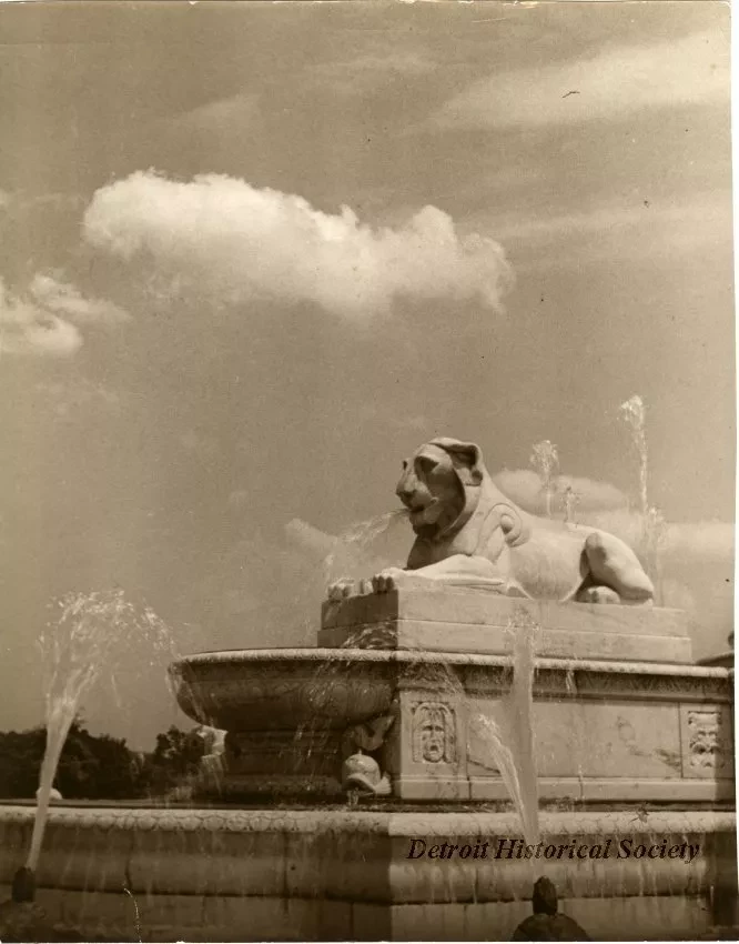 Print, Photographic - Fountain Lion