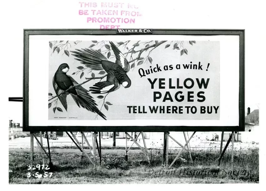 Print, Photographic