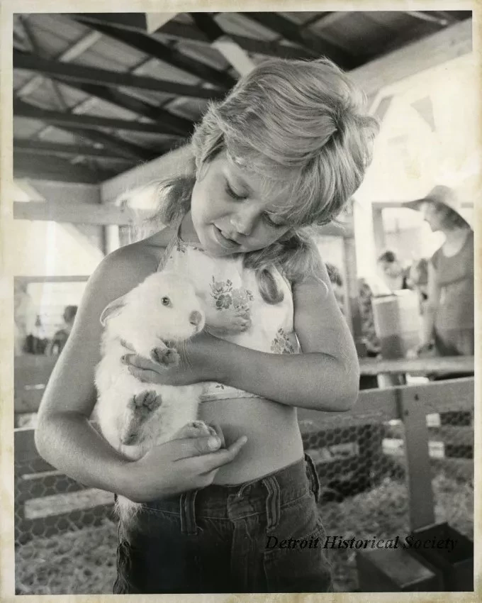 Print, Photograph