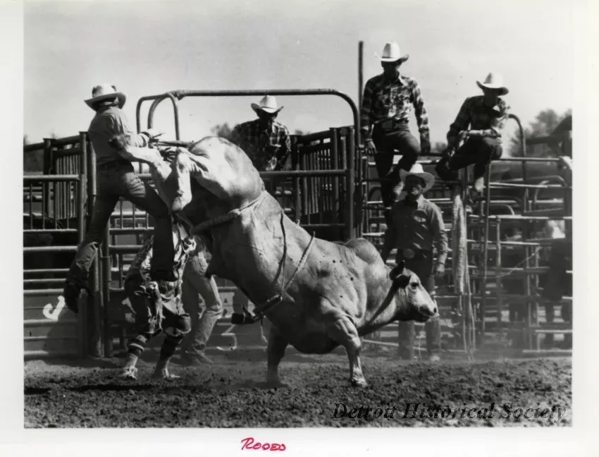Print, Photograph