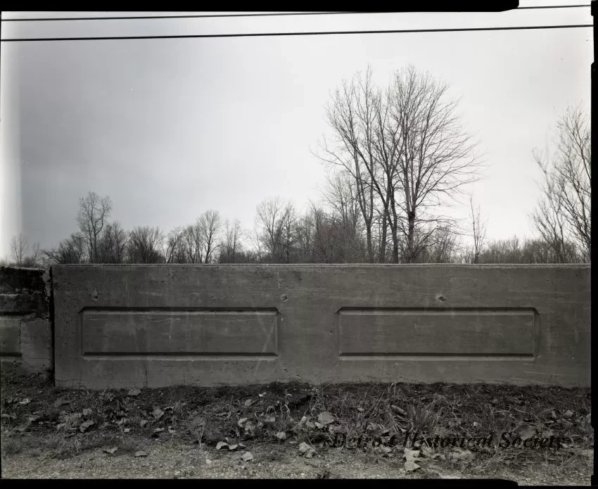 Negative, Film