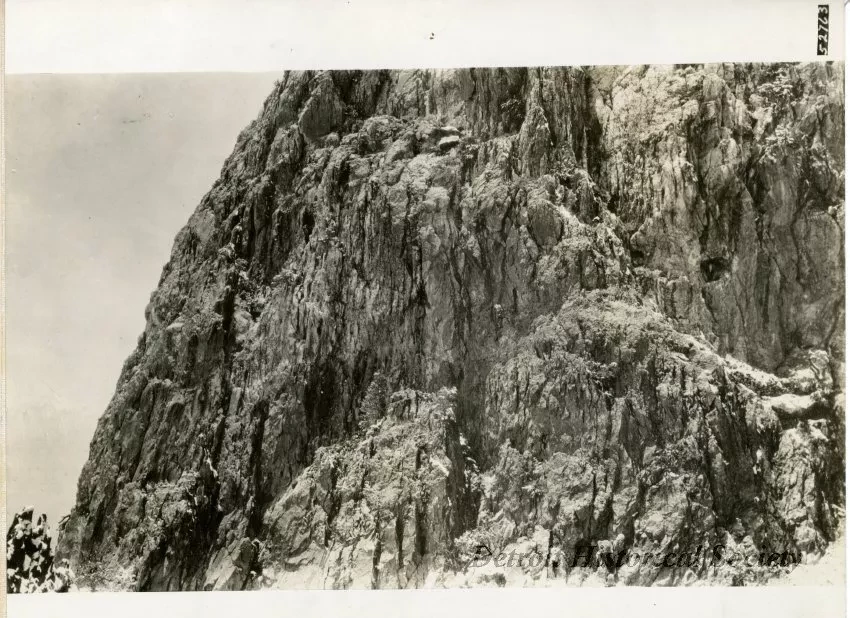 Print, Photographic