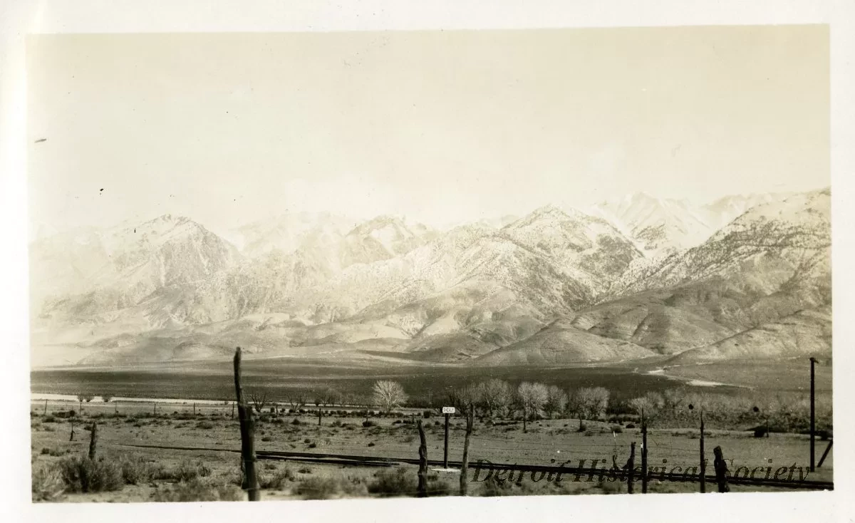 Print, Photographic