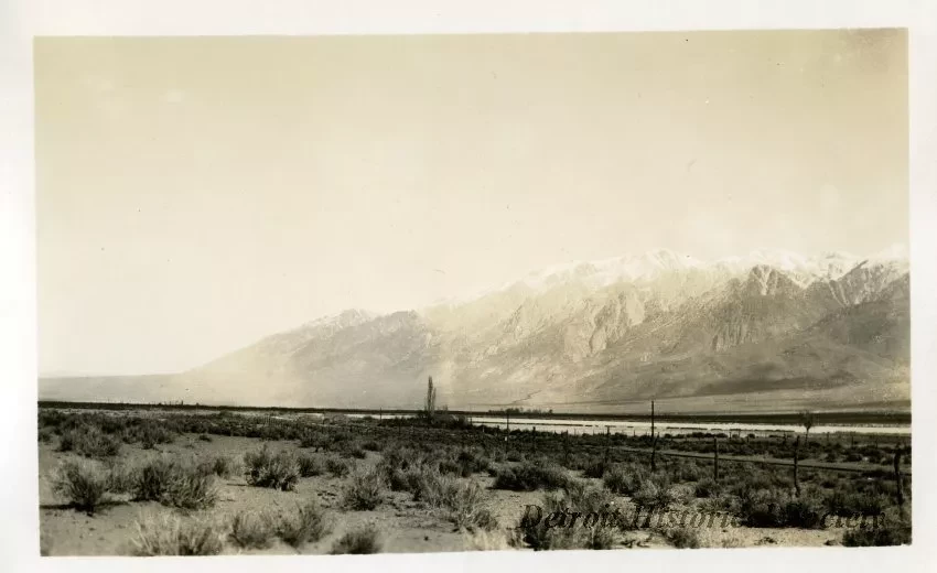 Print, Photographic