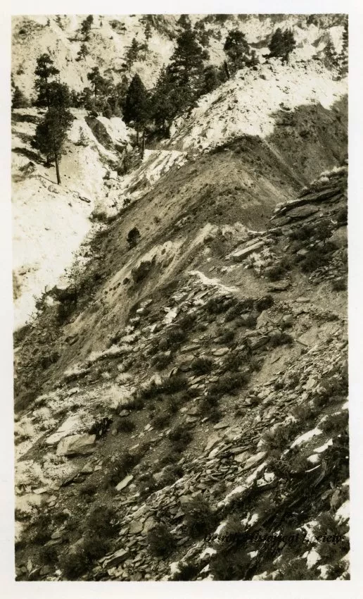 Print, Photographic