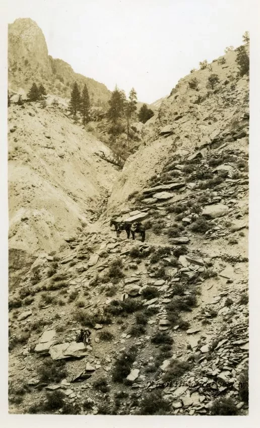 Print, Photographic