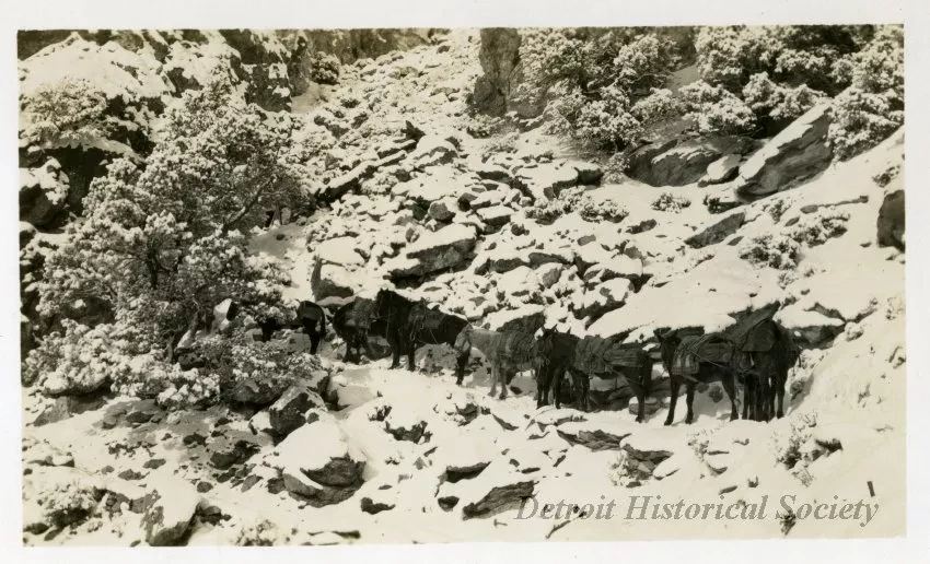 Print, Photographic