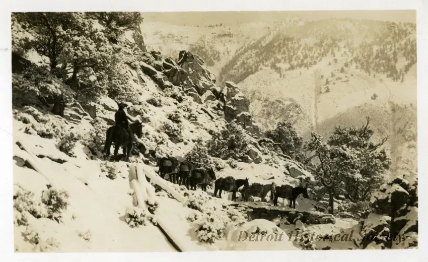 Print, Photographic