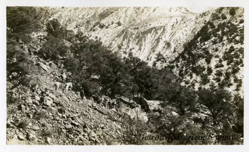 Print, Photographic