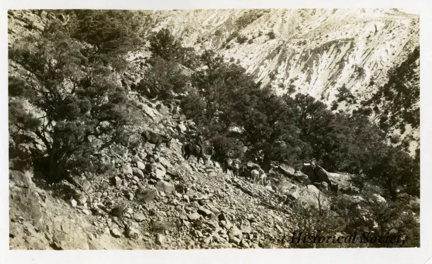 Print, Photographic
