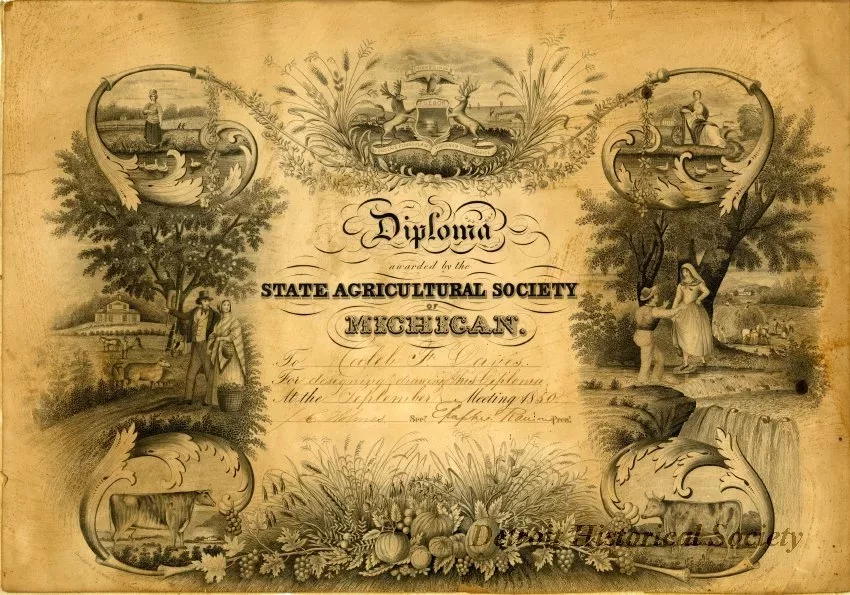 Diploma