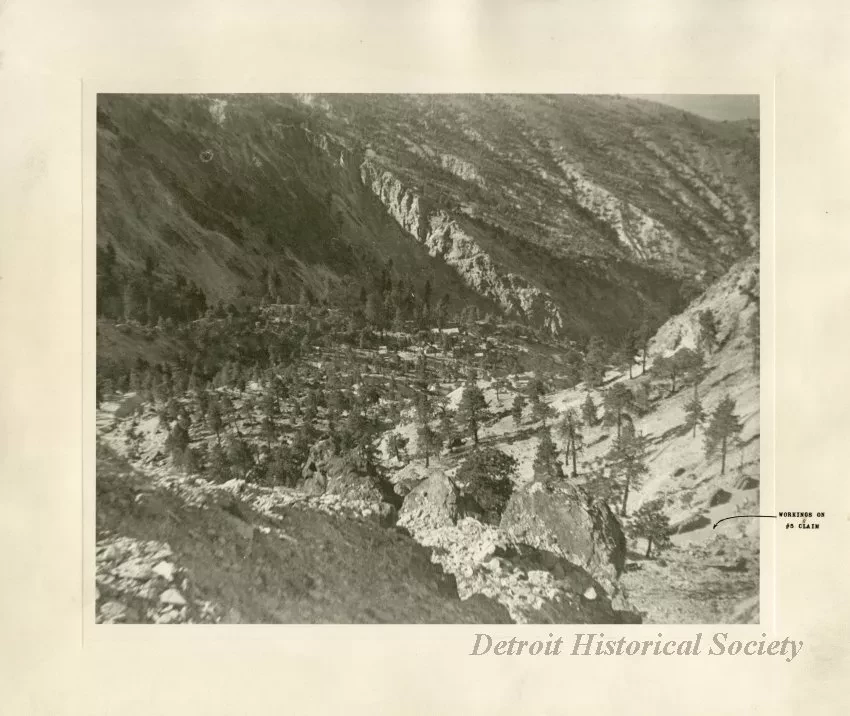 Print, Photographic