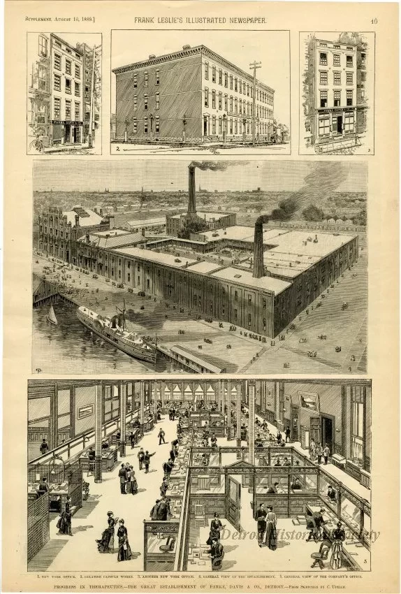 Newspaper