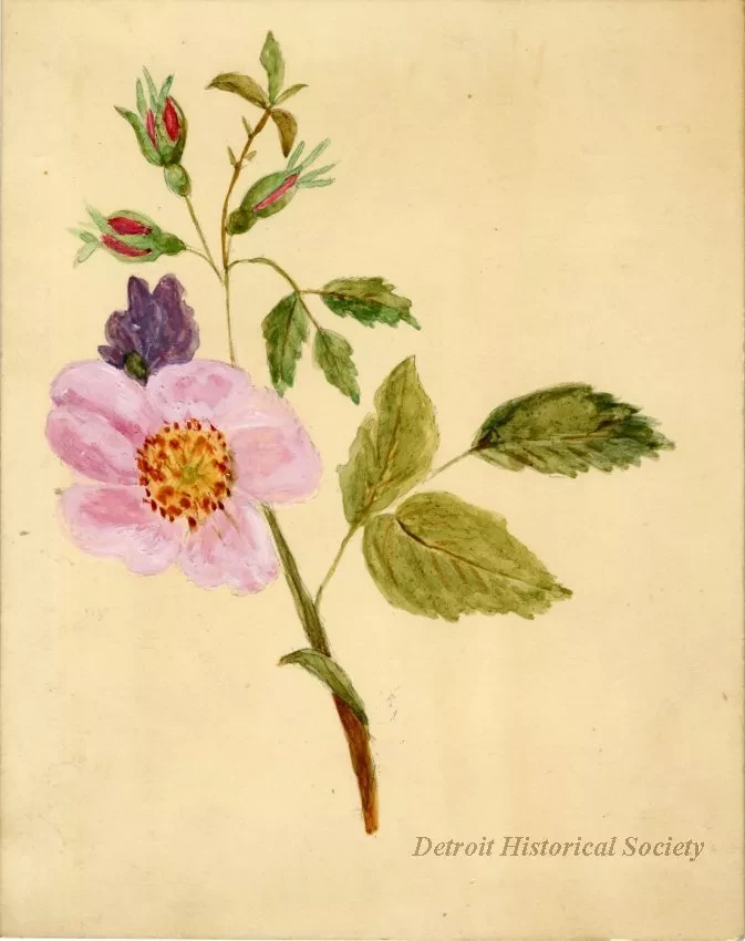 Card, Advertising
