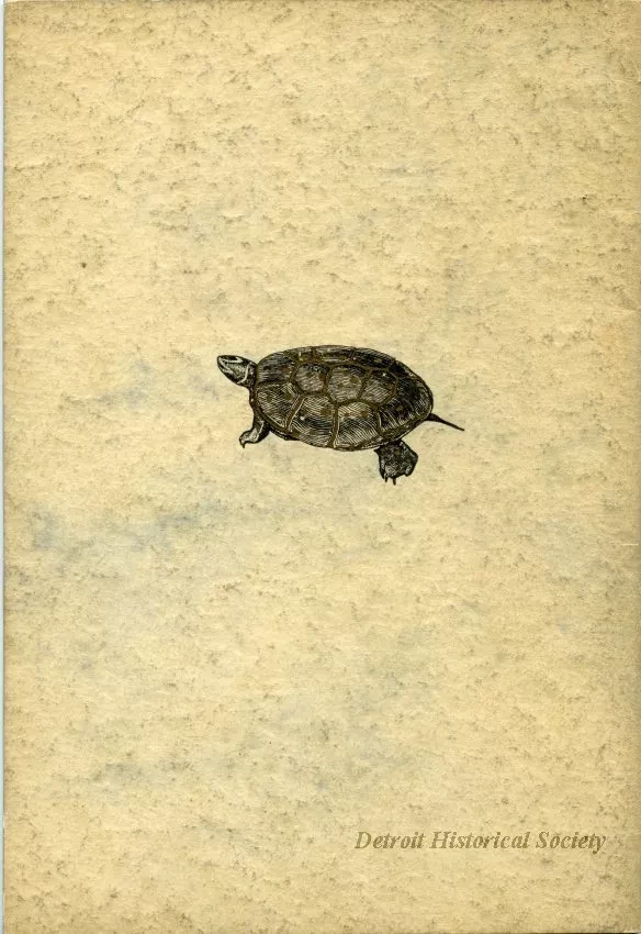 Catalog