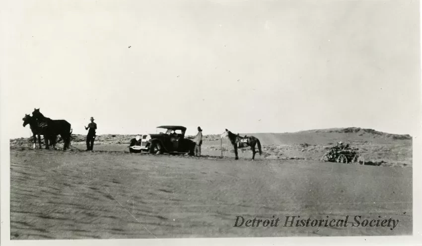 Print, Photographic