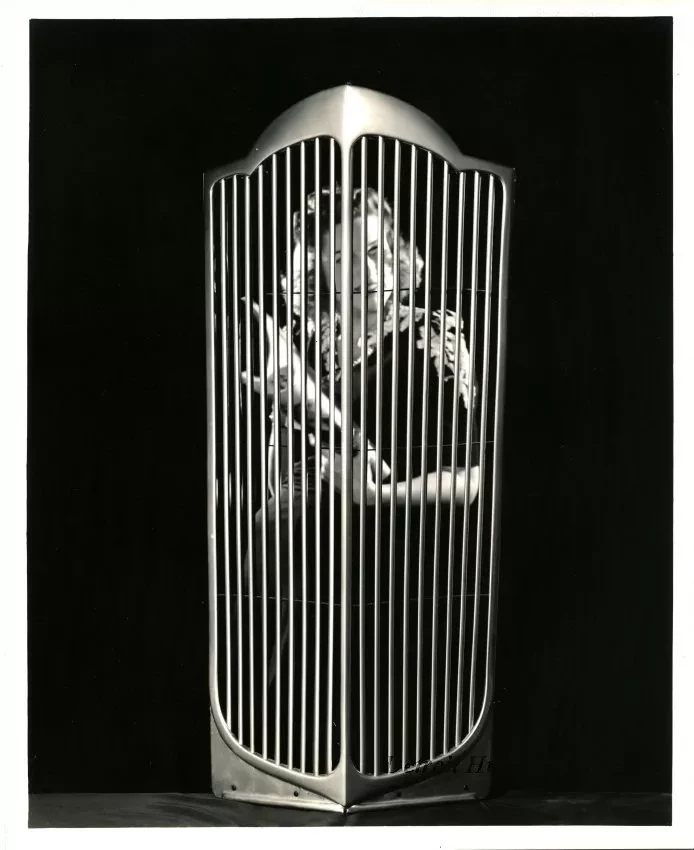 Print, Photographic