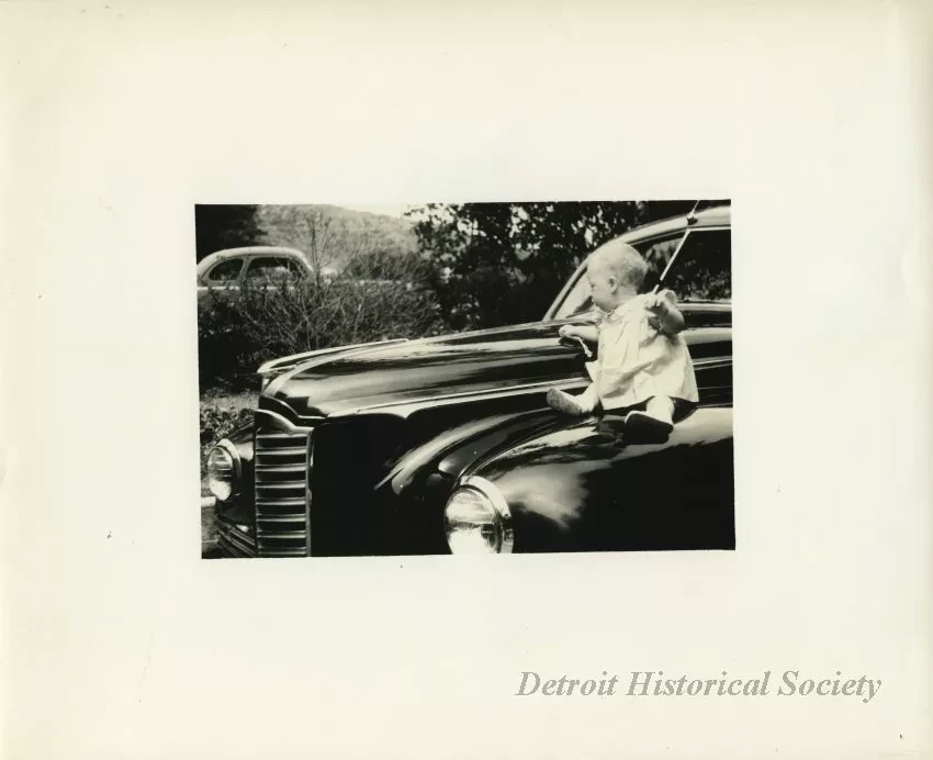 Print, Photographic