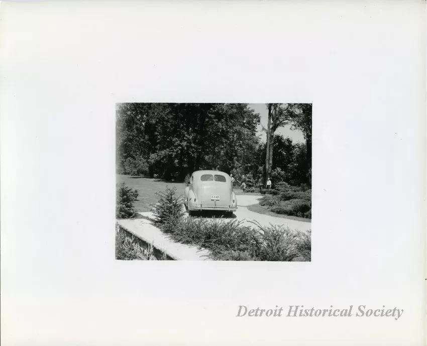 Print, Photographic