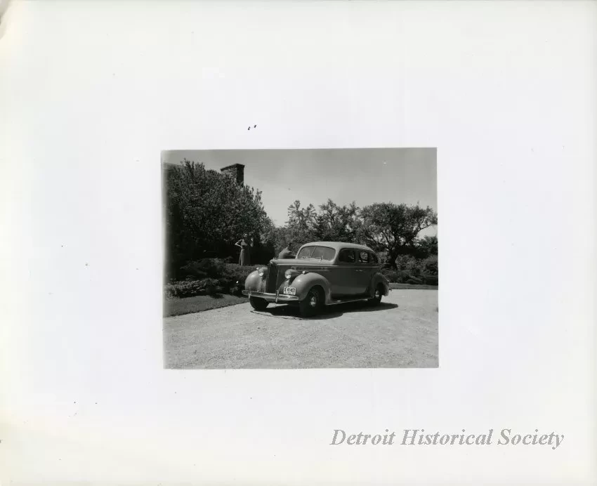 Print, Photographic