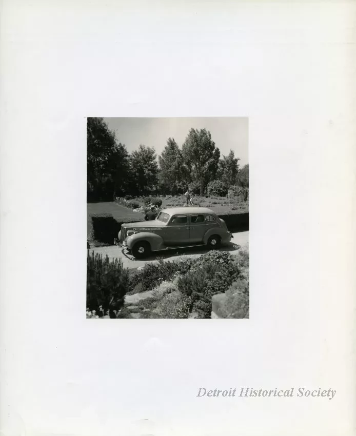 Print, Photographic