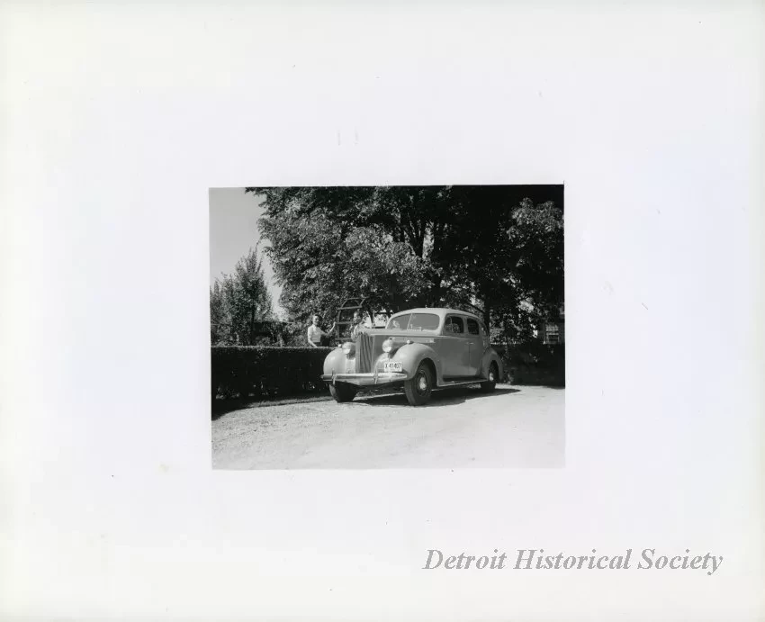 Print, Photographic