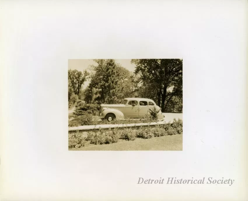 Print, Photographic
