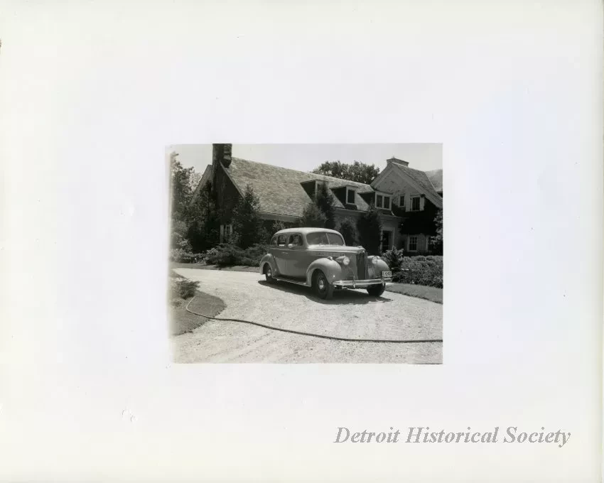 Print, Photographic