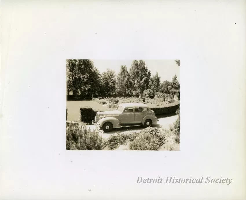 Print, Photographic