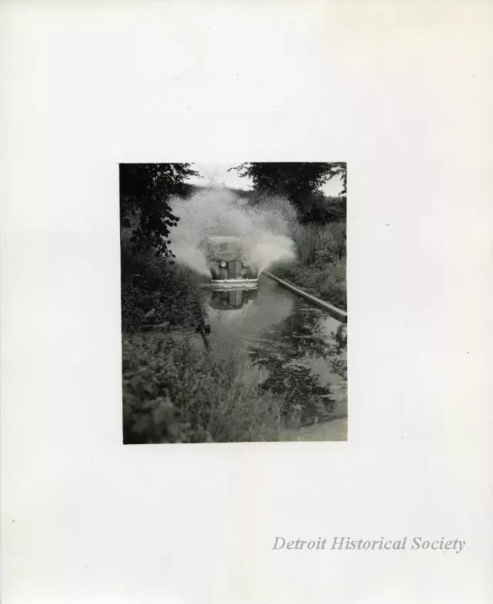 Print, Photographic