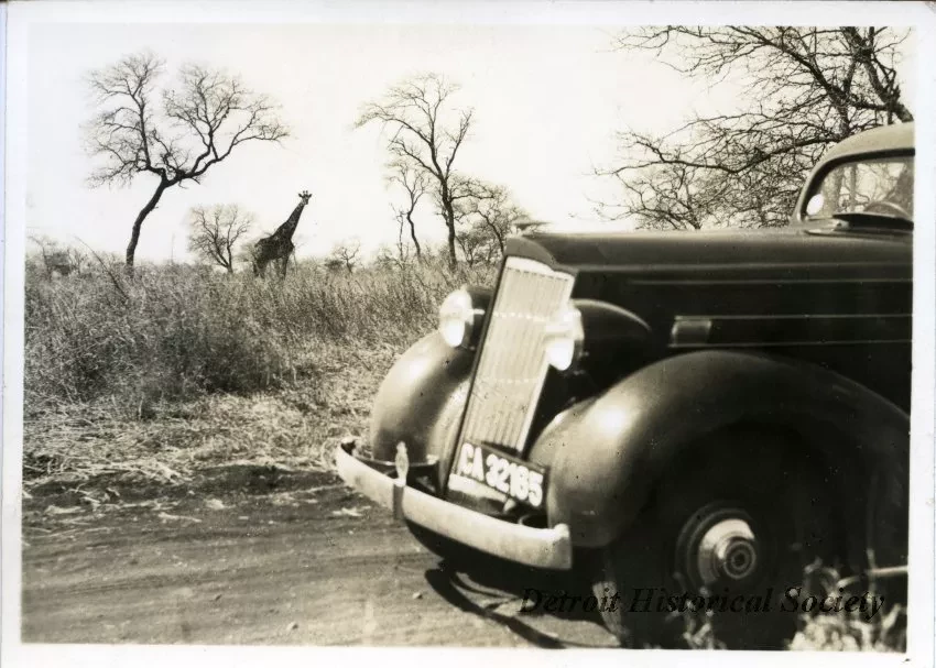 Print, Photographic
