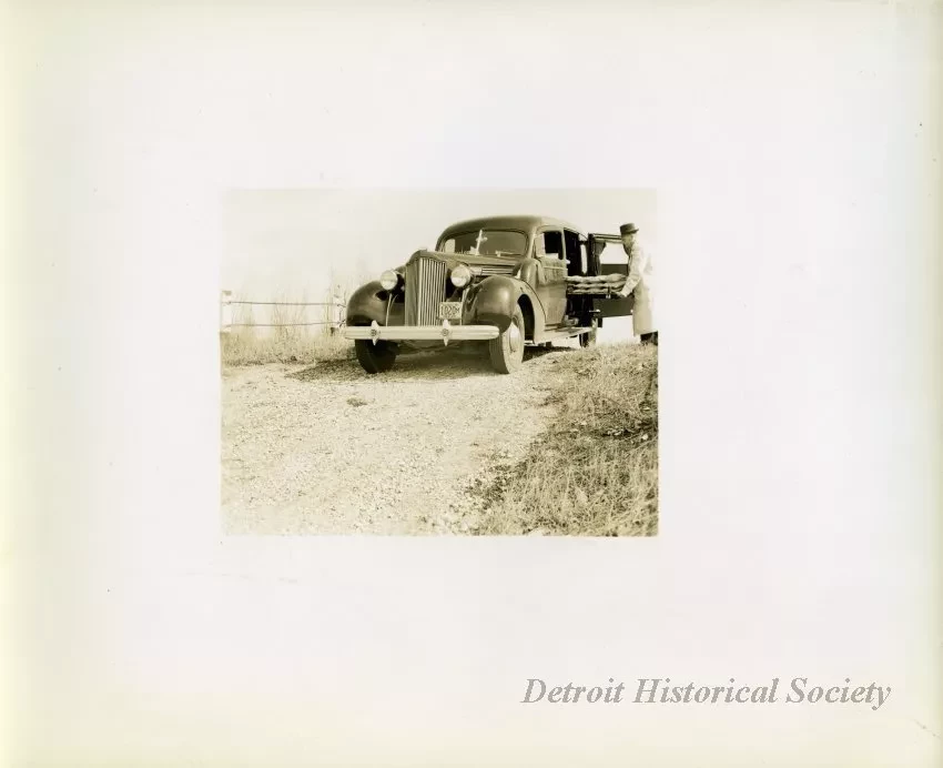 Print, Photographic
