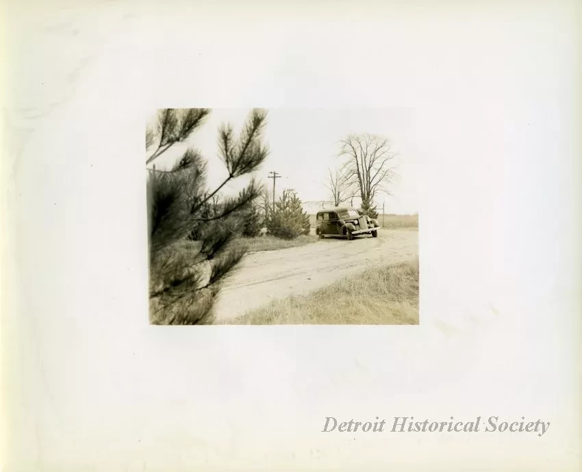 Print, Photographic