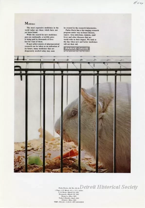 Advertisement