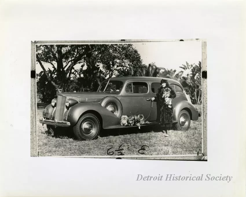 Print, Photographic