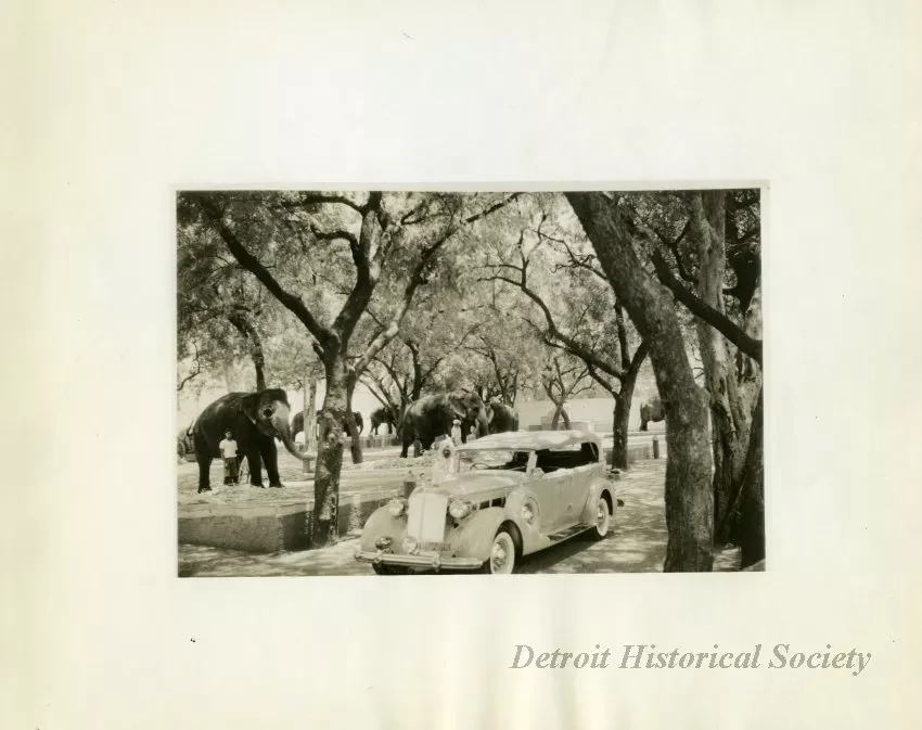 Print, Photographic